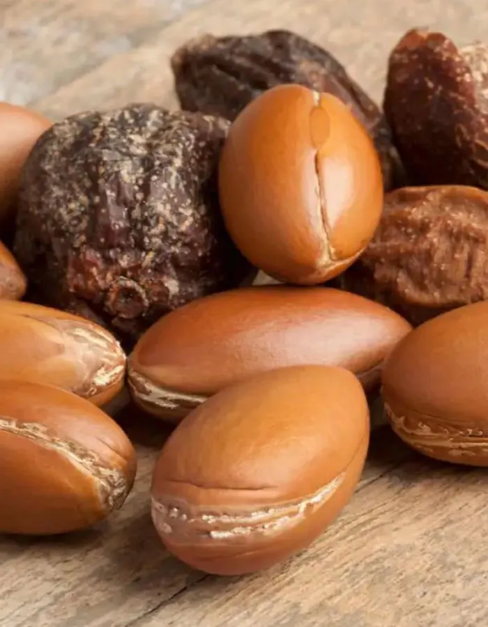 Argan oil beauty elixir from Morocco