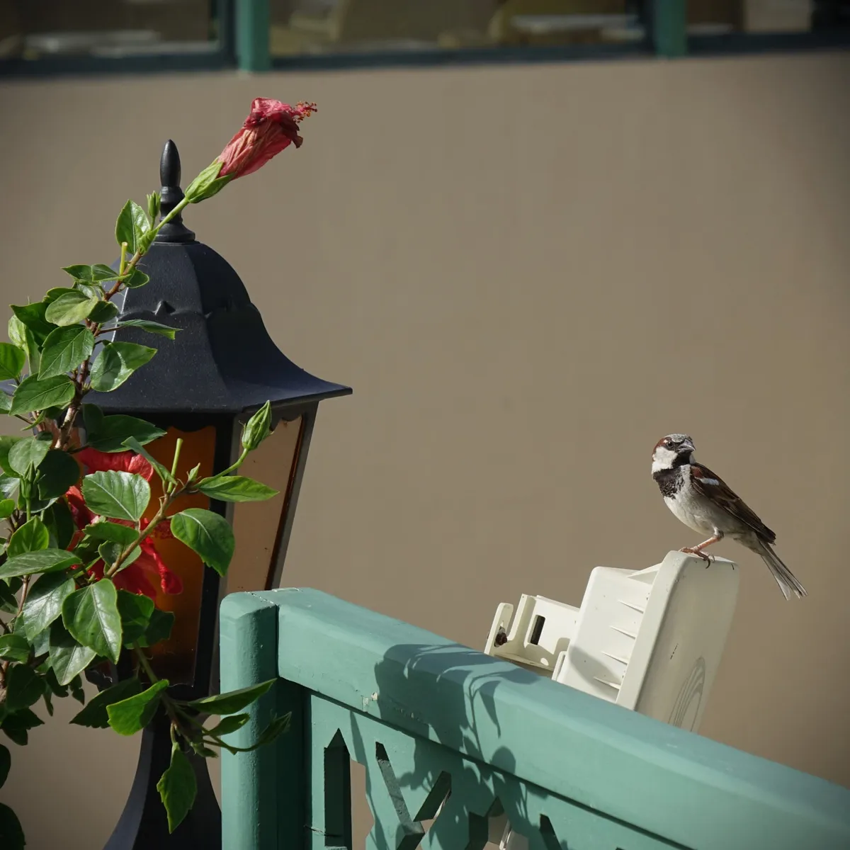 Moroccan Ftour delicacies